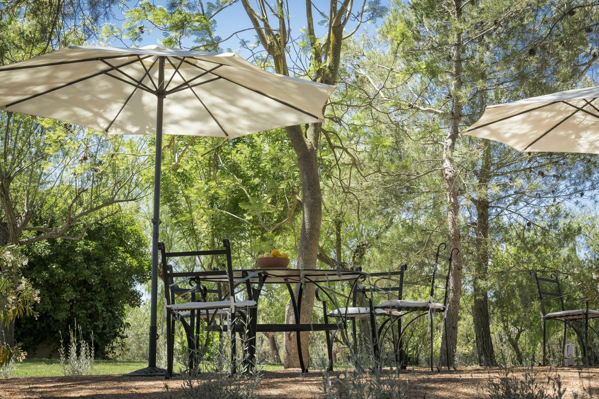 Farm stay Son Miranda - La Organic Sencelles