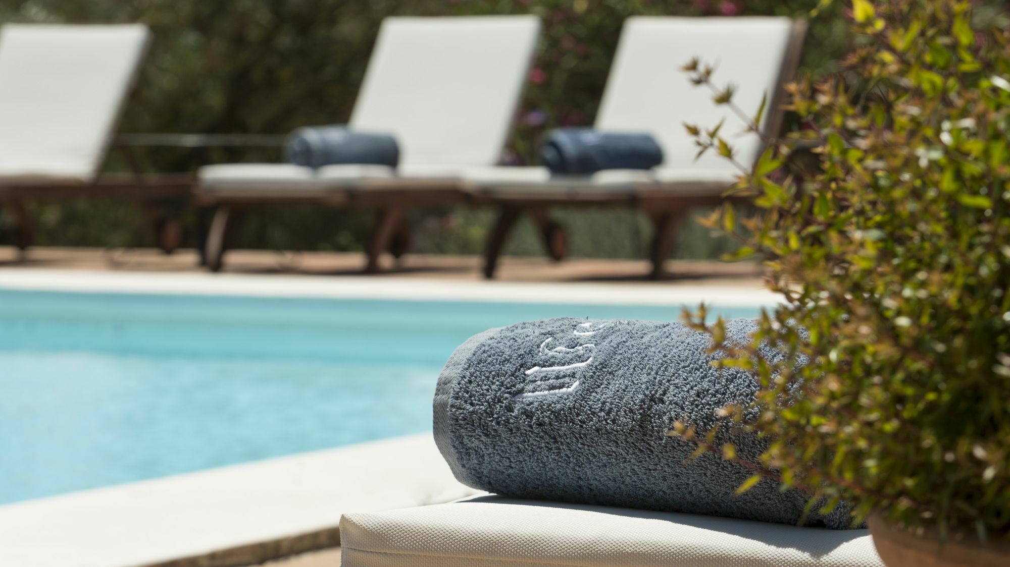 Son Miranda - La Organic Farm stay Sencelles