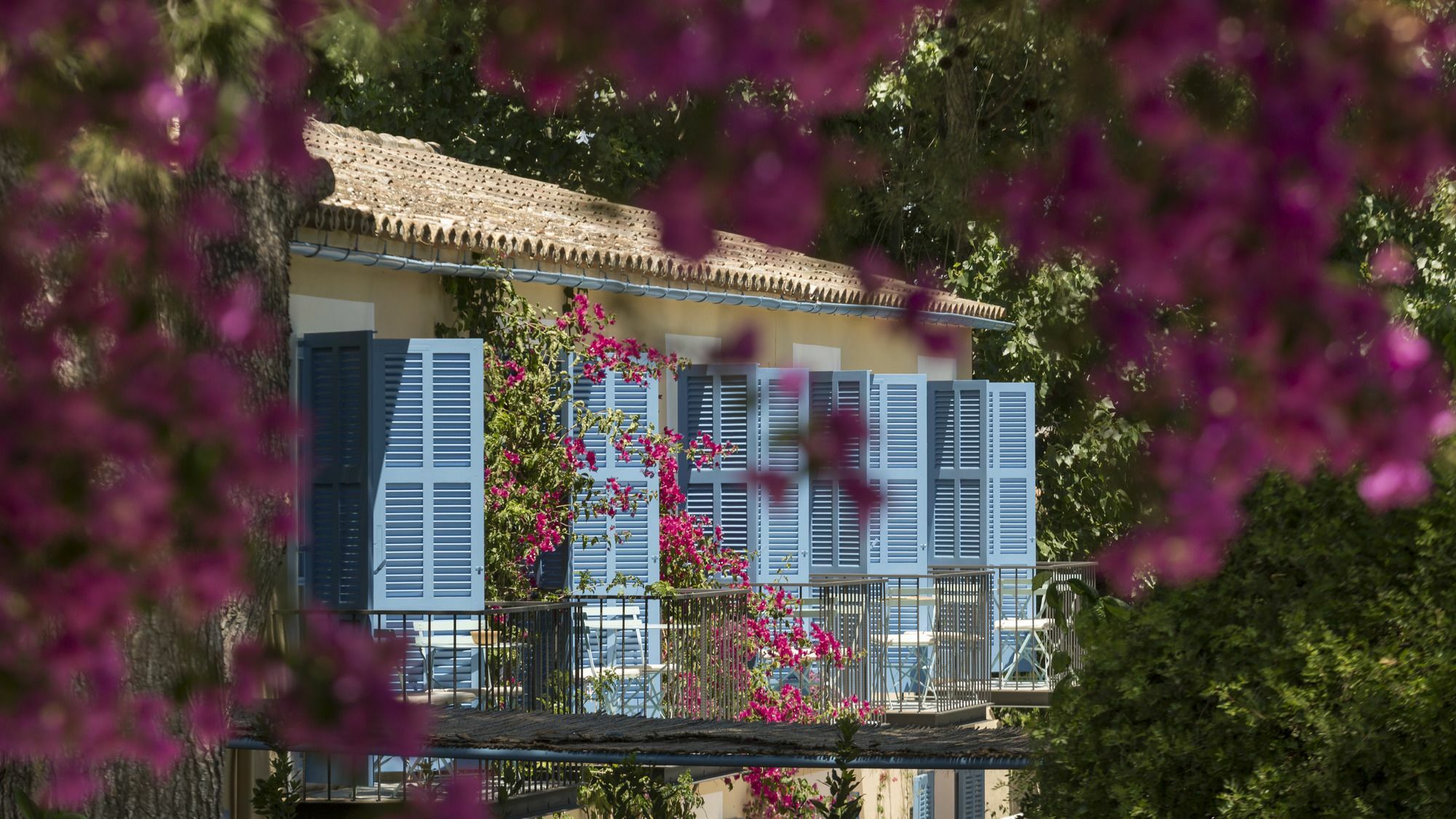 Son Miranda - La Organic Farm stay